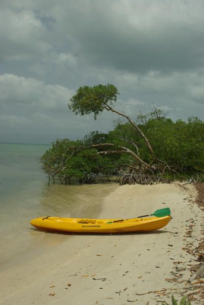 Album - guadeloupe