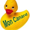 PPS - Mon Canard