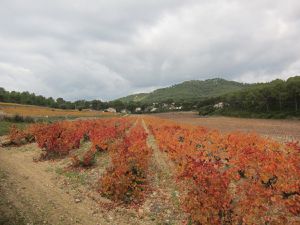 Boucle : Port de la madrague - domaine de la martelle - dune de sable - chemin des vignes - calanque de port d'alon - chemin du littoral -pointe Fauconnière -pointe du grenier - Port de la madrague 