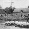 (Article) L'artisanat rural en Beaujolais au XIXème siècle