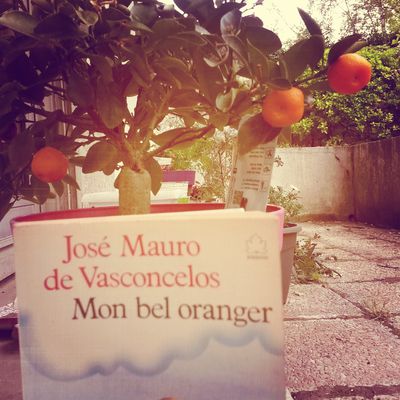 Mon bel oranger de José Mauro de Vasconcelos