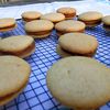 Whoopie Pies au speculoos