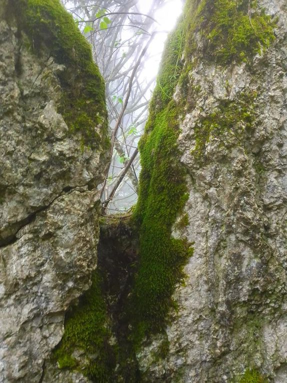 Chapelle d'émeraude, le sanctuaire secret de la Chartreuse