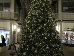 Xmas light Tour, London by night