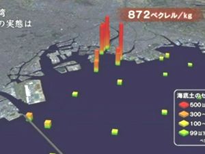 Contamination des eaux après l’accident de Fukushima 