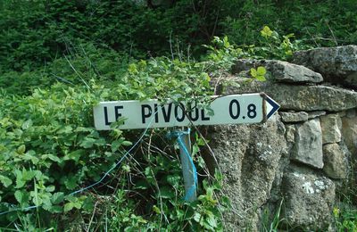 LE PIVOUL -48-