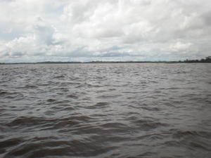 Immensité, paix et beauté, l'intensité d'une nature aux sensations pures, sur les rives du fleuve Amazone. Grande et mystérieuse forêt, labyrinthe des "igarapés", us et coutumes des peuplades locales, symphonie de couchers de soleil, une incurs