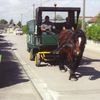 Collecte des déchets à cheval