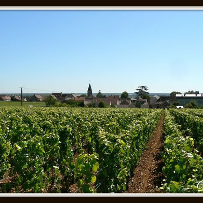 Romanée Conti sacrée...