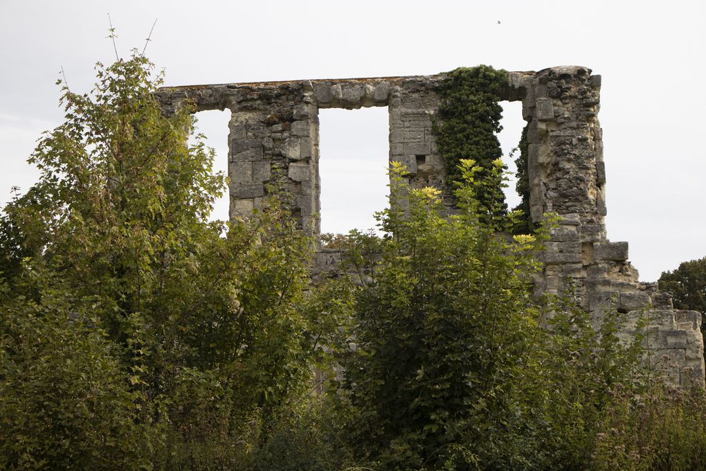 Le chateau de Monceau les Meaux