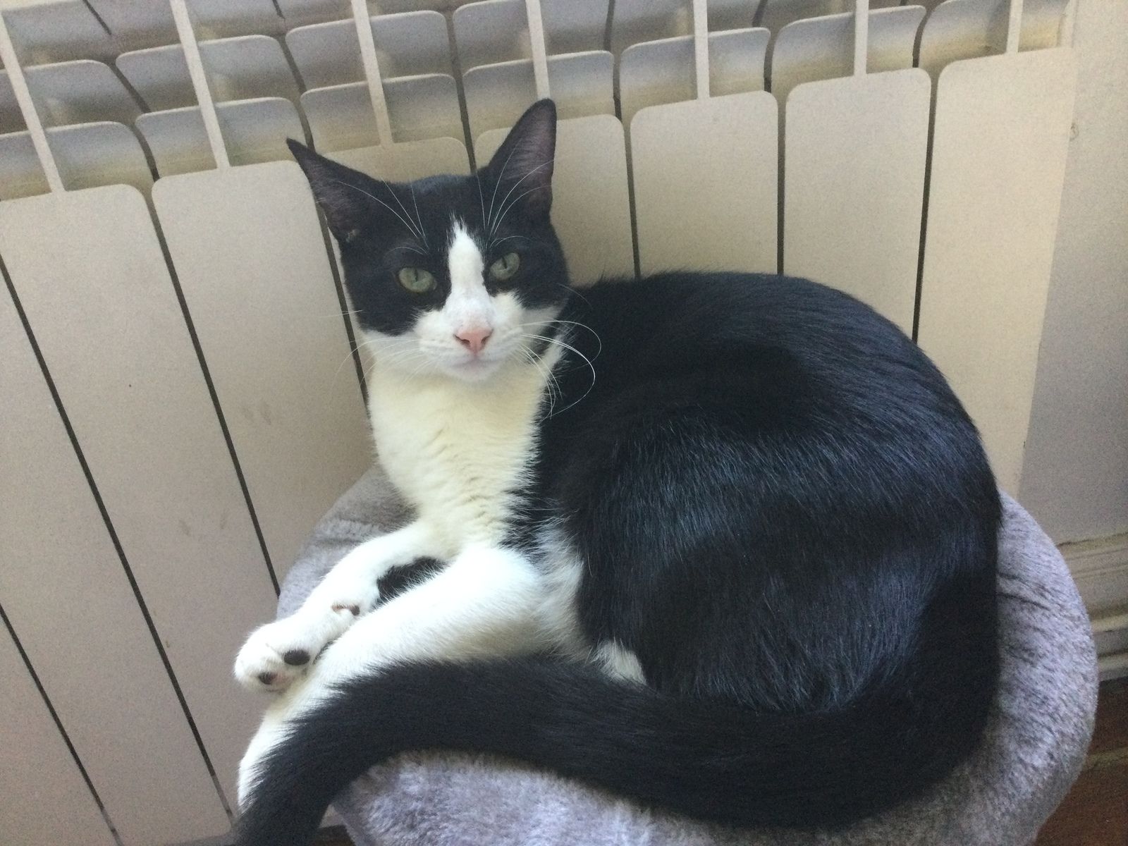 Le Blog De Cha Mania