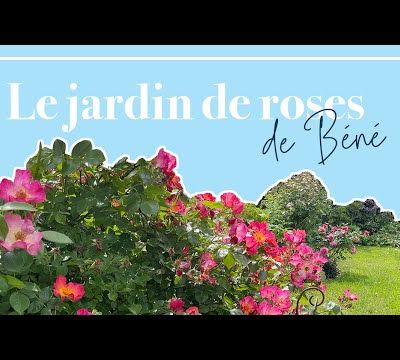 Mon jardin vu par Cordula