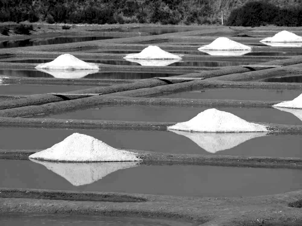 Album - Les Marais-salants de Guerande en noir et blanc