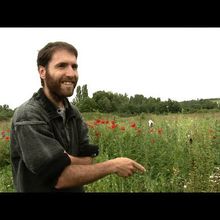 Sous les Pavés, la Terre (Film)