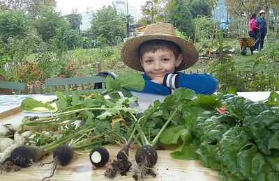 Fêtes des jardins