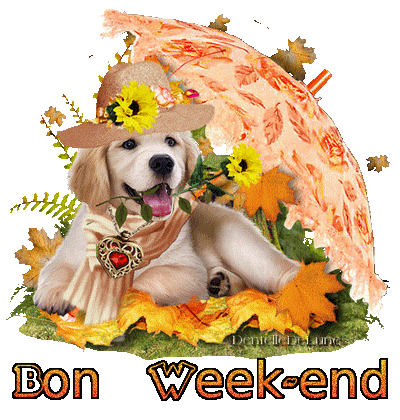 Gif animé Bon week-end - automne - chien Golden - feuilles mortes