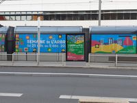 L'arbre en fête et le tramway de Bordeaux-Métropole