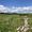 Compostelle80