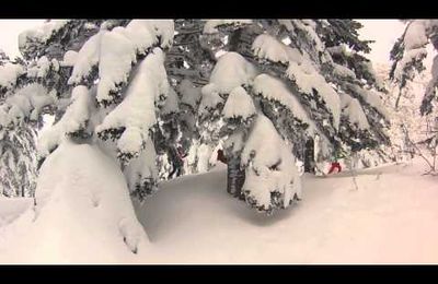 Ski de Randonnée au Japon, sur l'île d'Hokkaido. Reste 3 places. https://www.geromegualaguidechamonix.com