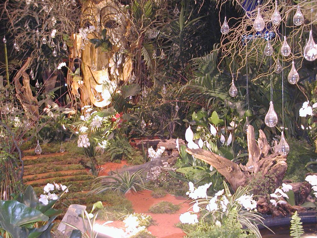 Florissimo est une exposition, qui a lieu environ tous les cinq ans . Cette exposition est la représentation de l'orchidée dans le monde
