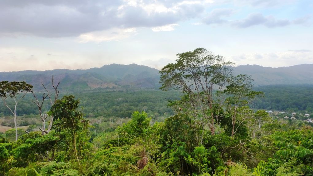 Album - Panama-dans-la-jungle-du-Darien