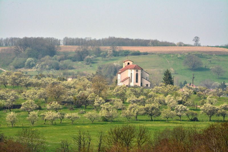 Marche du 14 Avril 2022