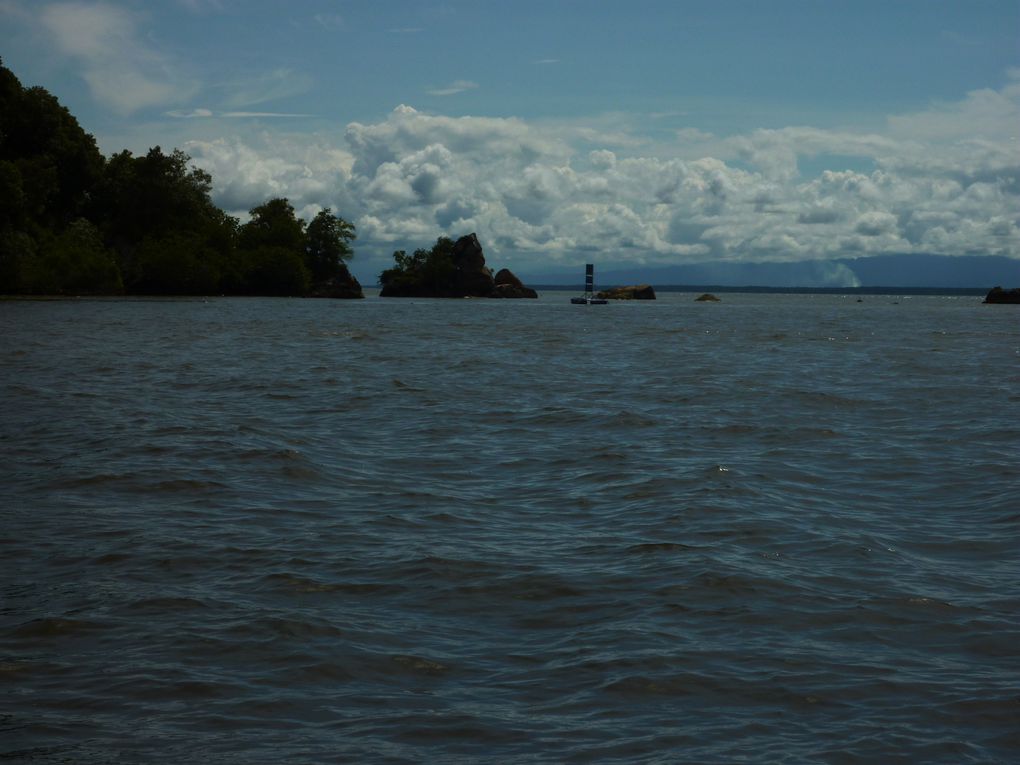 Ulu Temburong national park, et Bandar Seri Begawan, capitale du Brunei