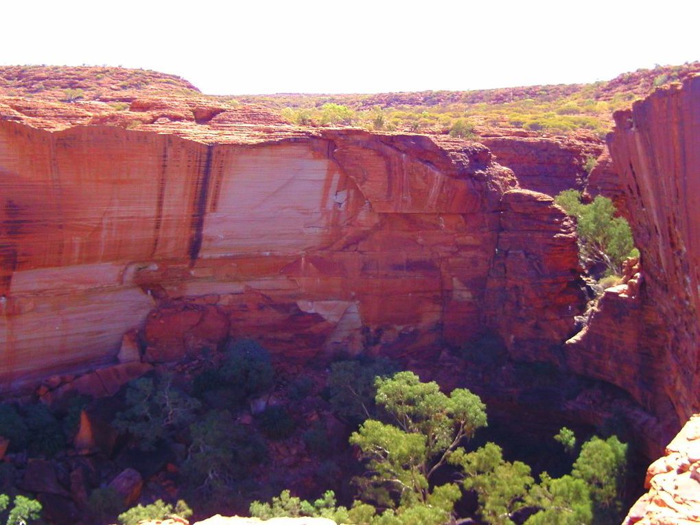 Album - The-Ultimate-Oz-Experience-2--Outback--The-Olgas---Ayers-Rock---Kings Canyon