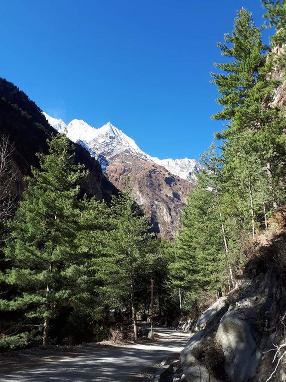 Les Annapurnas en décor de fond !