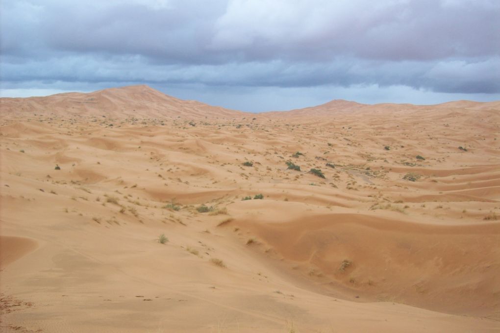 Album : Maroc Raid AMESKAR