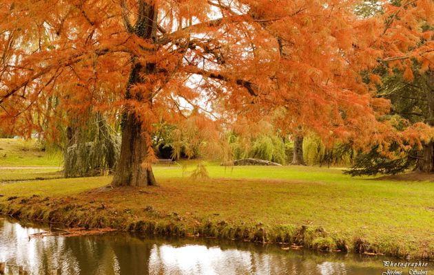 Éphémère parc Jean-Jaurès...