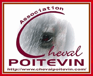 Cheval Poitevin, Brillante Weblog...