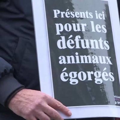 Action des vegans à Paris à l'occasion de la journée mondiale du veganisme