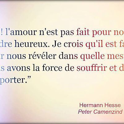 Hermann Hesse - 2 Citations