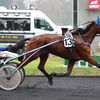 Finale du GNT Dimanche à Vincennes : Bel Avis, objectif lune 