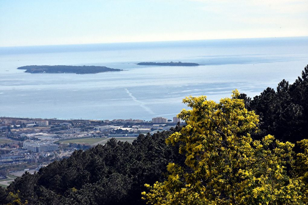 SUR LA ROUTE DU MIMOSA: GRASSE-MANDELIEU