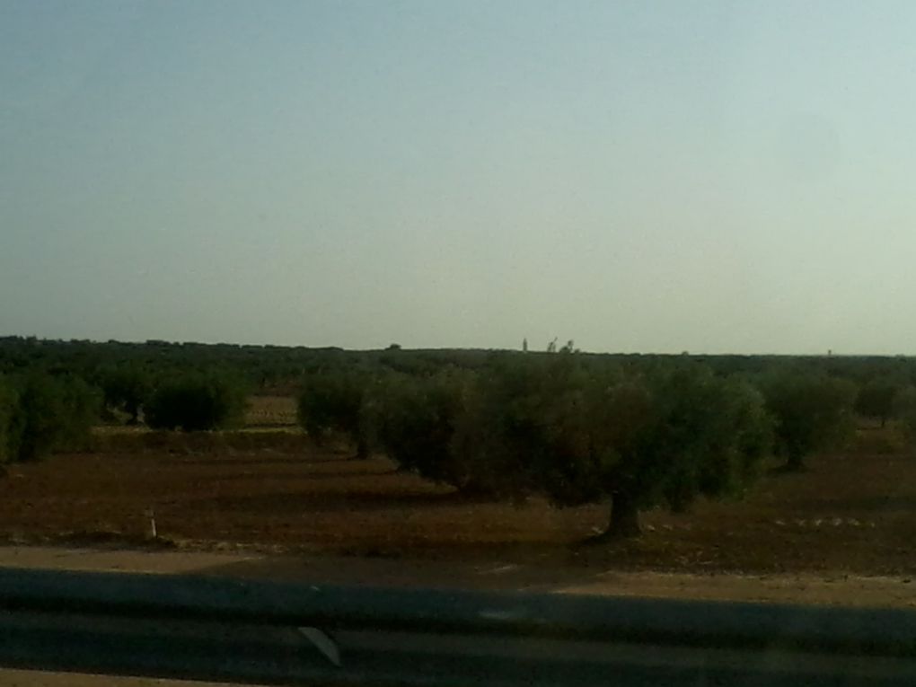 La ville de Sfax;centre économique et industriel de la Tunisie