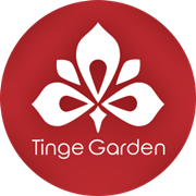 Tinge Garden, portage. [Test et avis]