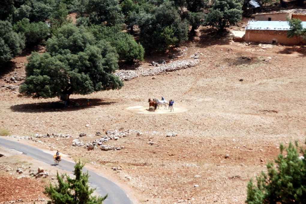 Album - Voyage-au-Maroc