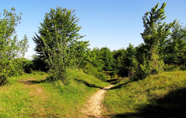 carrefour_Route Tournante sur le Mont Saint-Mard_Route de l'Ortille