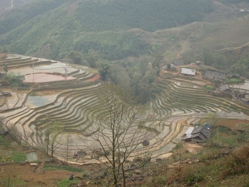 Album - 2012-VIETNAM-SAPA-II