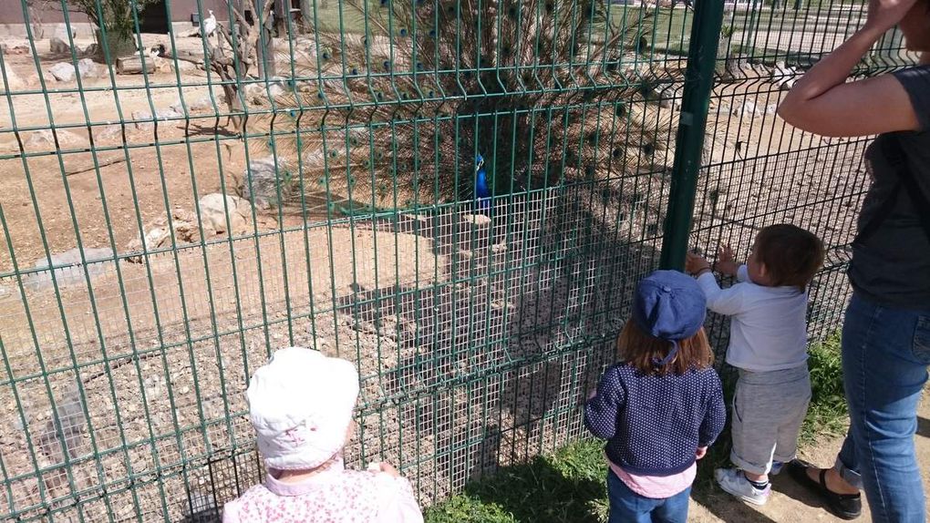 Balade au Parc du Levant à Palavas