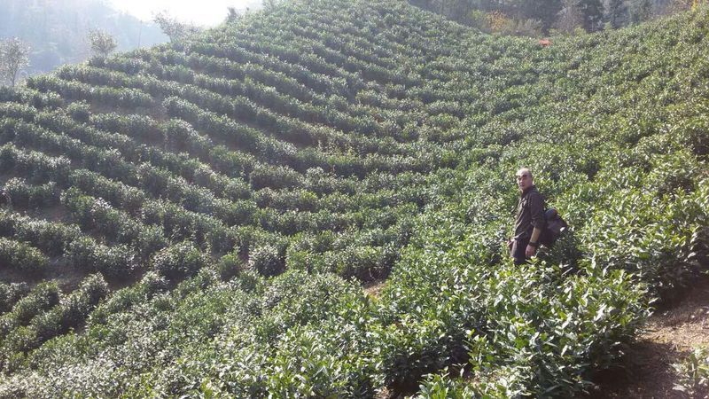 Treks et randonnées en Chine, près des Montagnes Jaunes.