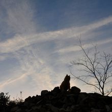 Balade aux couleurs du soir de janvier