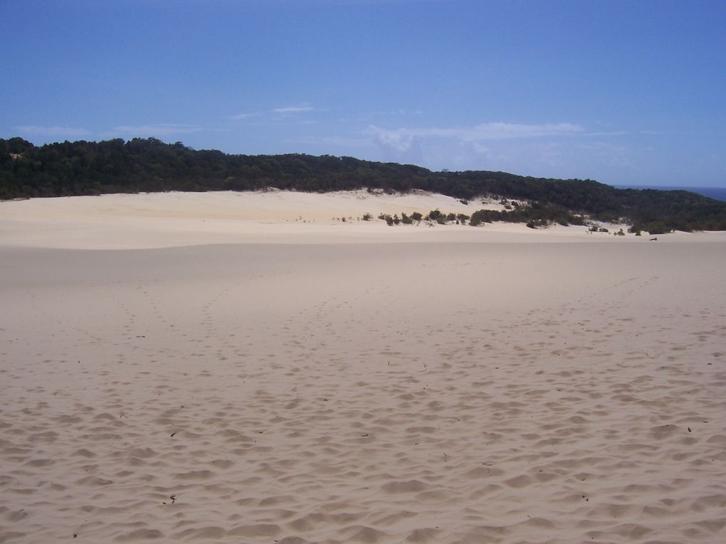 Mal wieder ein toller Urlaub, von Sydney, Brisbane, Fraser Island und last but not least Moreton Island!