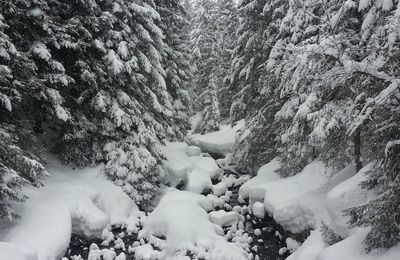 Vallée de Chamonix