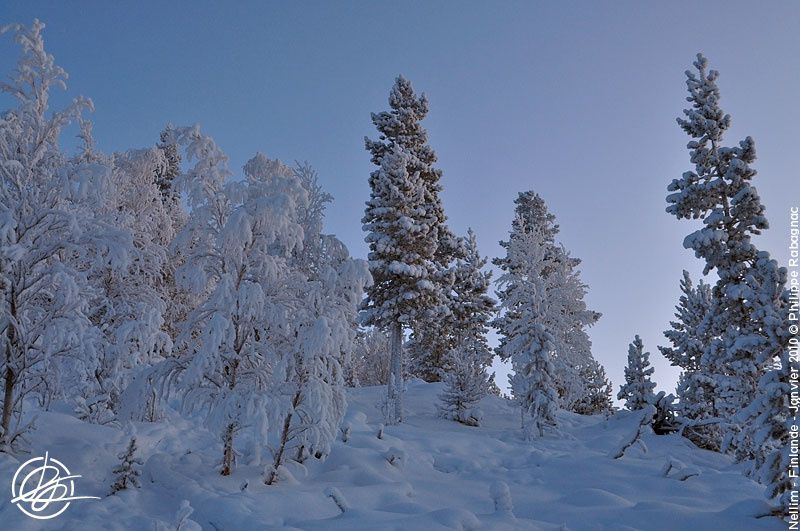 Petite balade au pays de l'hiver. Nellim (Finlande) début janvier 2010