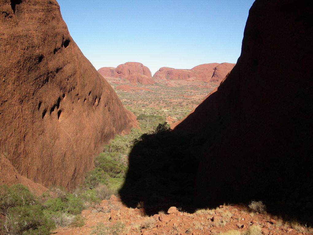 Album - The-Ultimate-Oz-Experience-2--Outback--The-Olgas---Ayers-Rock---Kings Canyon