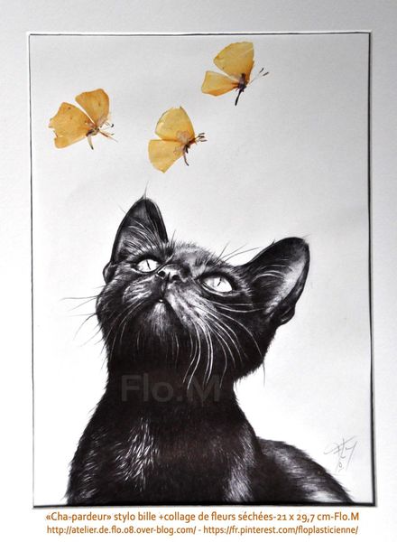 chat-dessin-stylo bille-format A4