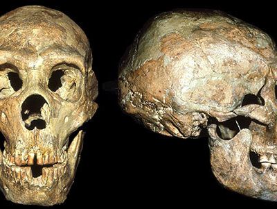 Les Néandertaliens soignaient les Membres du Clan Handicapés